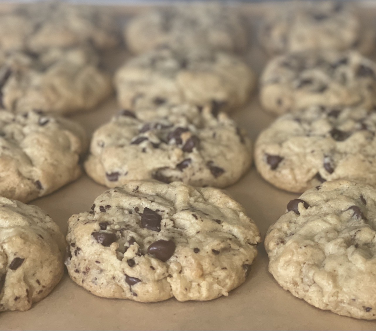 Chocolate Chip